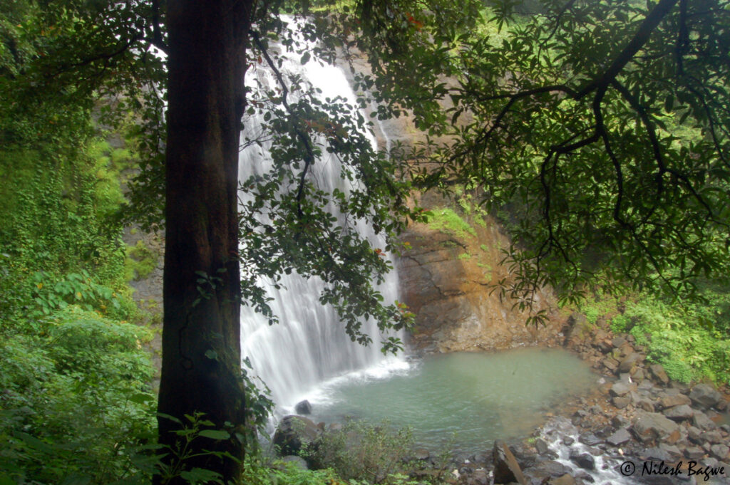 Zenith Waterfall: Khopoli's Serene Sanctuary
The Ultimate Bucket List of Waterfalls to Explore near Mumbai in Rainy Season