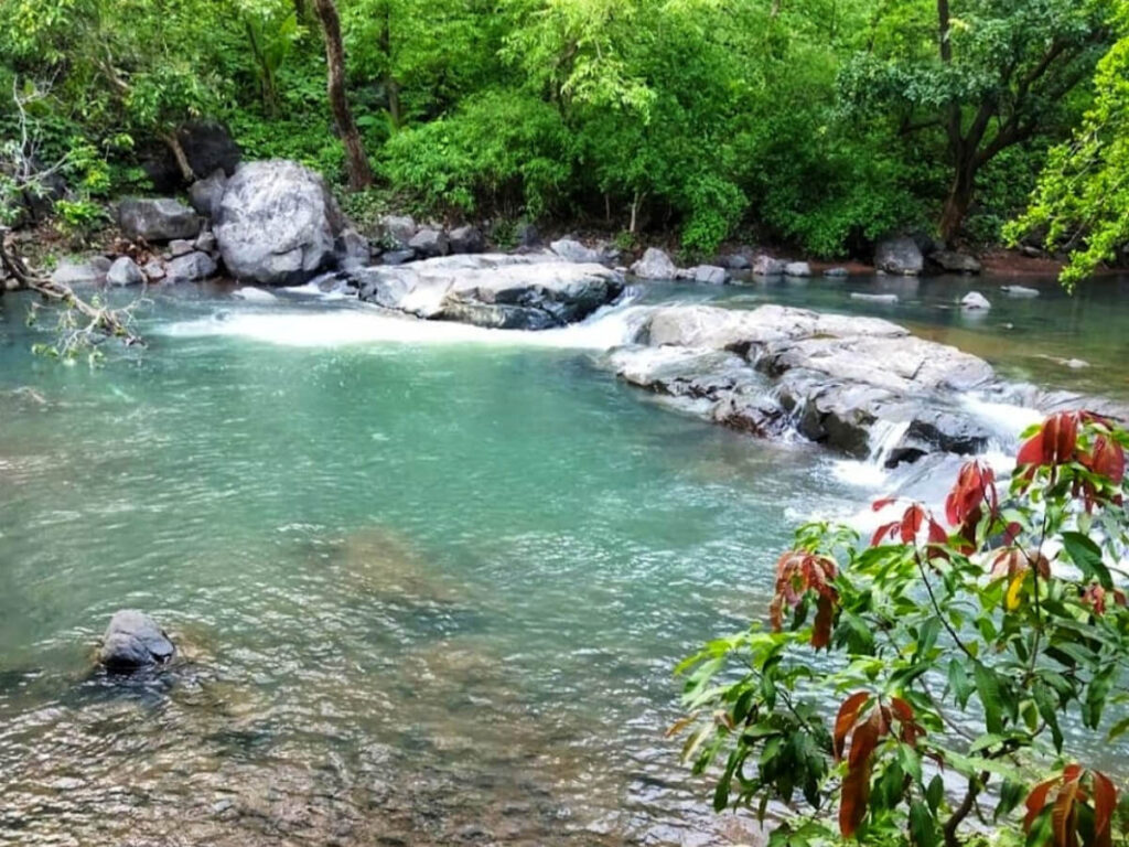 Tungareshwar Waterfall: A Monsoon Marvel
The Ultimate Bucket List of Waterfalls to Explore near Mumbai in Rainy Season